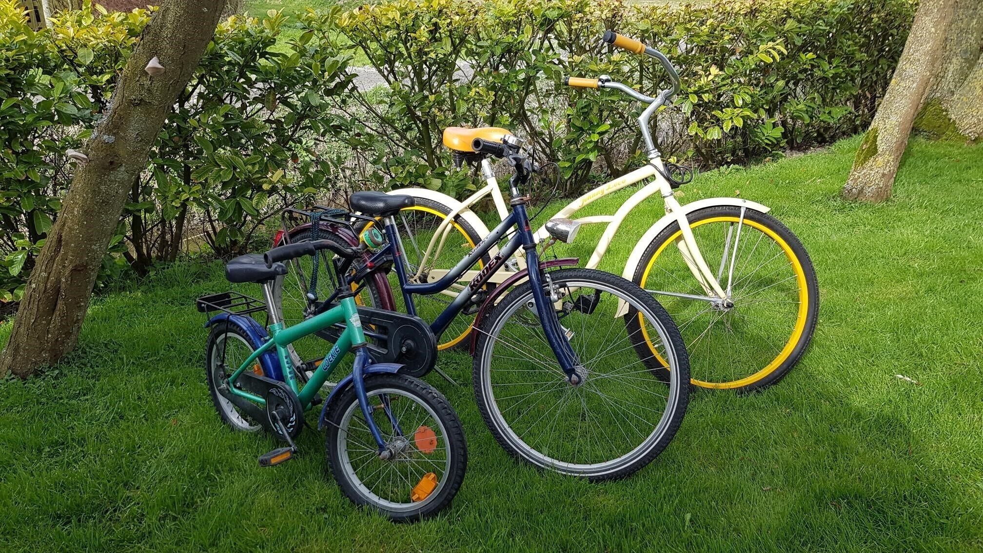 Trois vélos sont garés sur une pelouse, avec des arbres et des buissons en arrière-plan.