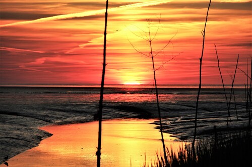 Great vacation right on the dike with family and dog a few minutes from the beach