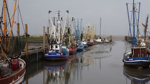 A harbor with several boats docked along the shore.