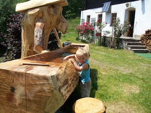 Children's area