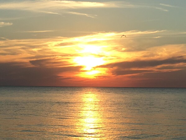 Am Strand