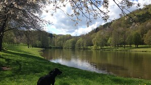 Un perro sobre una orilla cubierta de césped, junto a un lago tranquilo, rodeado de árboles y colinas.