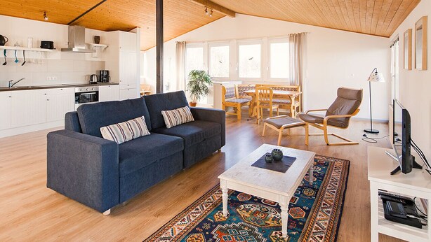 A modern living room with a dark blue sofa, a white coffee table, and a patterned rug. - Holiday house with a private swimming pool and sauna in a rural idyll (Stepenitztal)