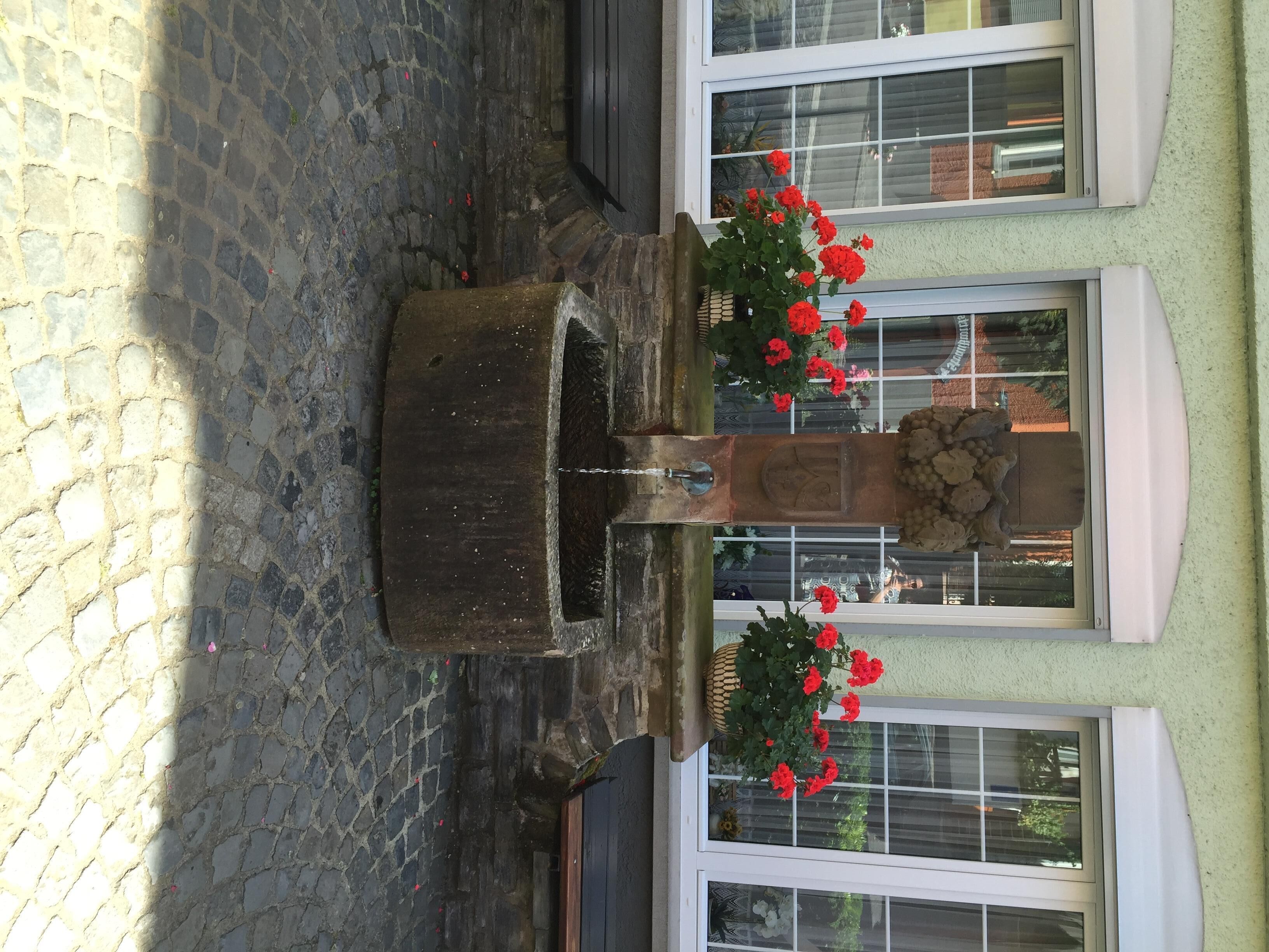 Ein Innenhof mit einem Steinfountain, zwei roten Blüten in Töpfen und einem Gebäude mit großen Fenstern.