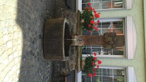 Ein Innenhof mit einem Steinfountain, zwei roten Blüten in Töpfen und einem Gebäude mit großen Fenstern.