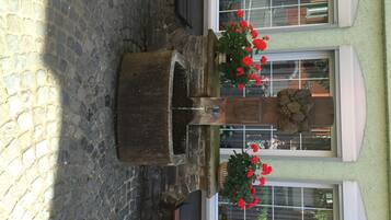 Ein Innenhof mit einem Steinfountain, zwei roten Blüten in Töpfen und einem Gebäude mit großen Fenstern.