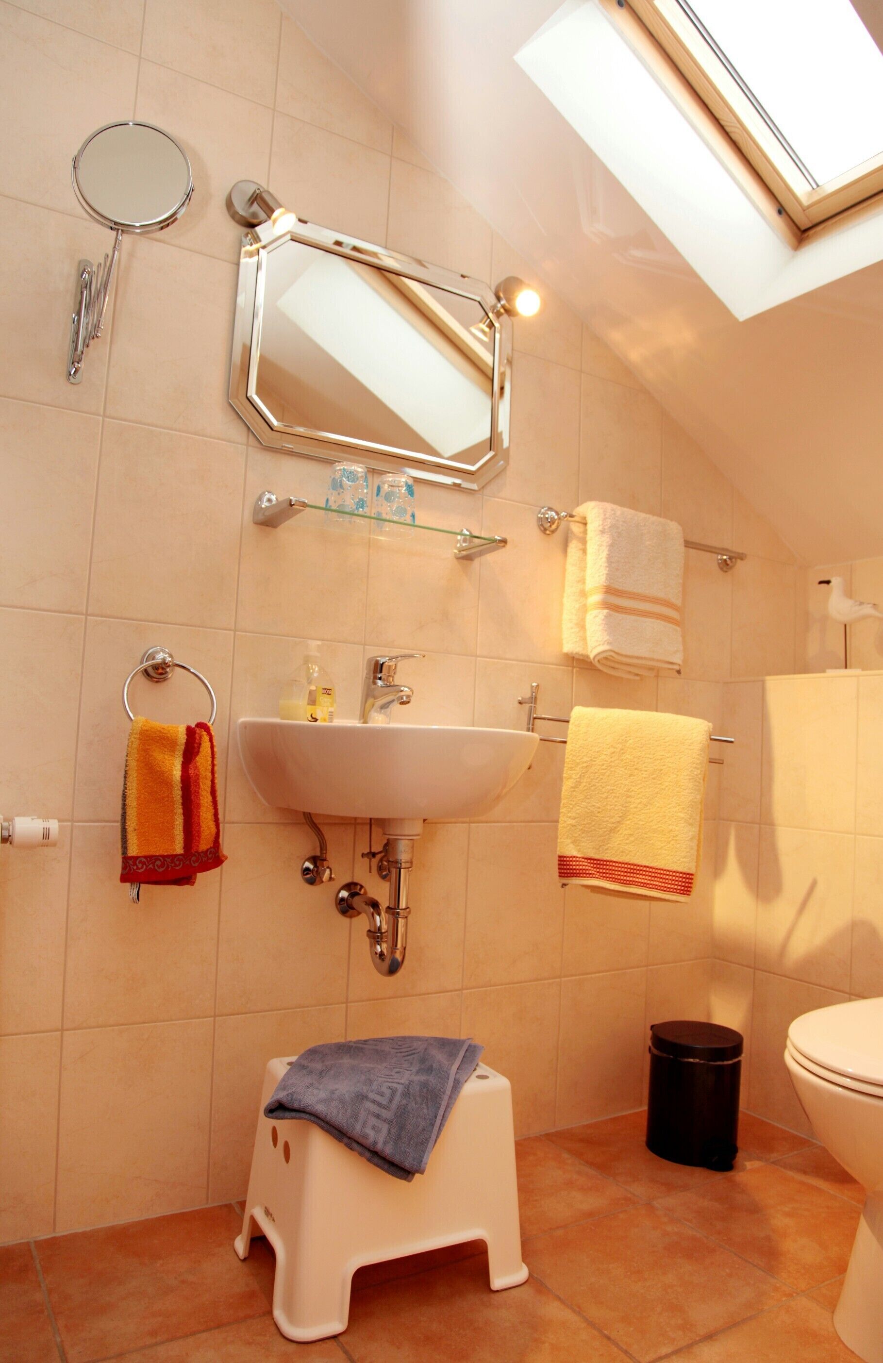 A compact bathroom with a skylight, a sink, a mirror, and a toilet.