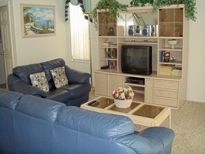 TV, books, stereo
