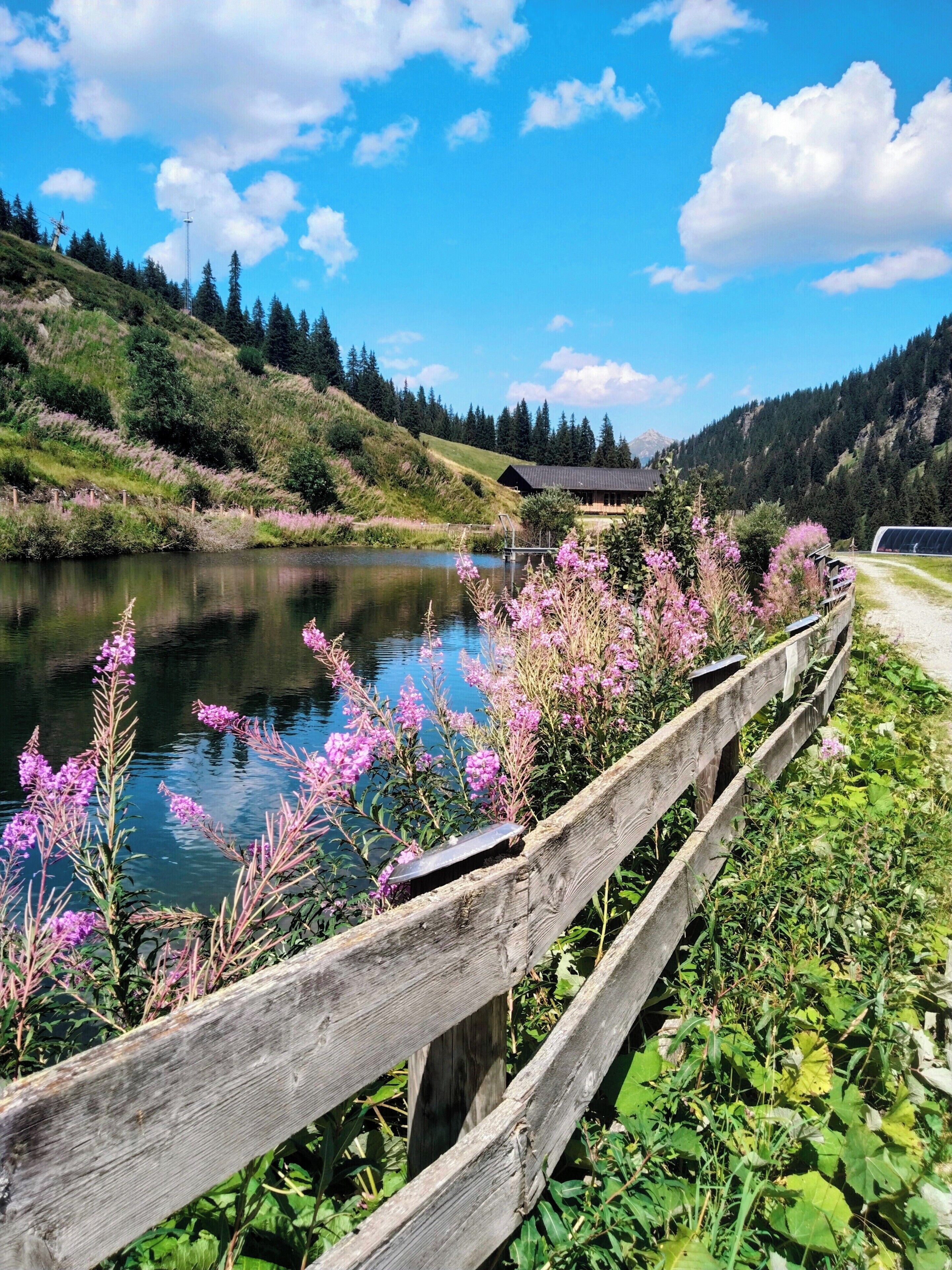 A wooden fence with a pond and flowers in the foreground, a clear sky, and a mountainous landscape in the background.