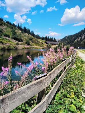 A wooden fence with a pond and flowers in the foreground, a clear sky, and a mountainous landscape in the background.