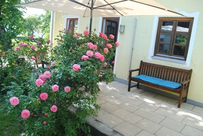 Terras