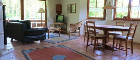 Télévision, cheminée, lecteur de DVD, livres