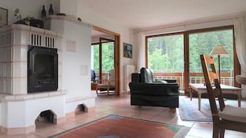 Fernseher, Kamin, DVD-Player, Bücher