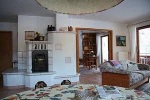 TV, fireplace, DVD player, books