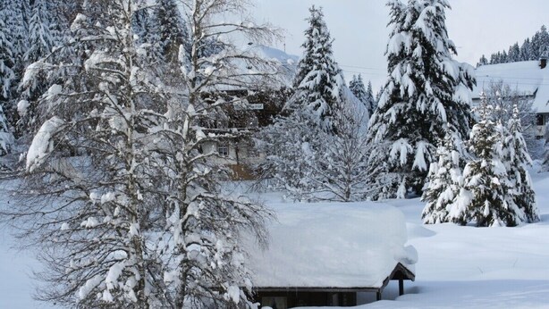 A snow-covered landscape with a cabin and trees. - In the southern Black Forest. Pure nature, close to the lake, family-friendly (Baden-Württemberg)