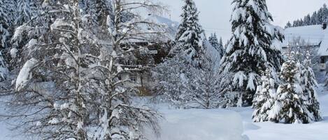 المنطقة المحيطة بالمنشأة