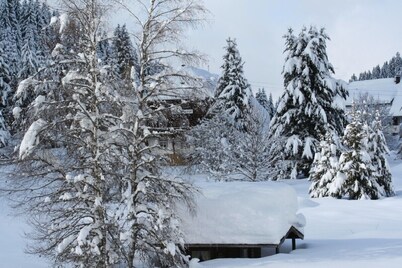 In the southern Black Forest. Pure nature, close to the lake, family-friendly
