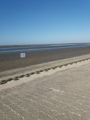 Beach nearby, sun loungers