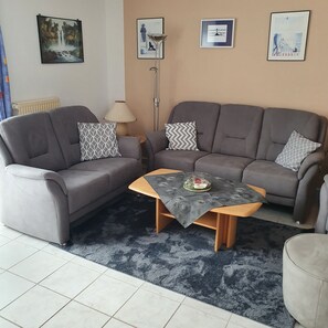 电视、DVD 播放器、玩具、书