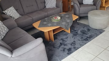 电视、DVD 播放器、玩具、书