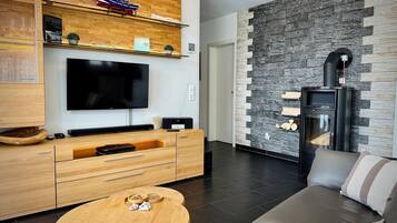 TV connectée, cheminée, lecteur de DVD, livres