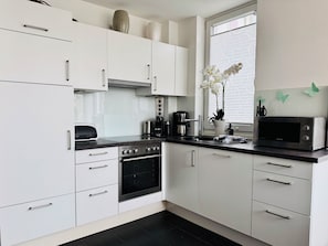 Fridge, microwave, oven, stovetop - 100 m to the beach | sauna & sauna scents | firewood | whirlpool | WLAN | beach chair (Großenbrode)