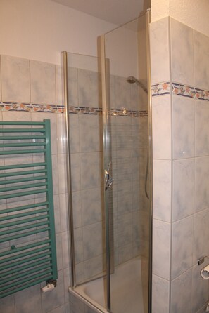 Shower, hair dryer, soap, toilet paper