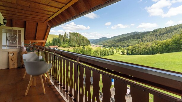Unclassified image, 1 of 35, button - Holidays on the Oberhubhof, overlooking the valley and the playground. (Hofstetten)