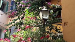 Una strada fiancheggiata da edifici, un albero con fiori viola e un lampione.