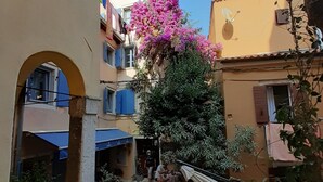 Un cortile con pavimento in pietra, un'amaca e un albero fiorito di rosa.
