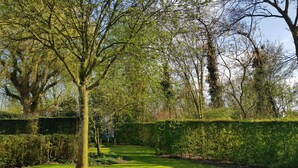 A well-maintained garden with a variety of trees, neatly trimmed hedges, and a grassy lawn.