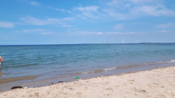 A beach with clear skies, calm water, and distant wind turbines.