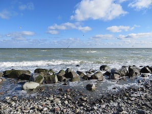 Une plage rocheuse, avec des vagues, un ciel dégagé et des oiseaux qui volent.