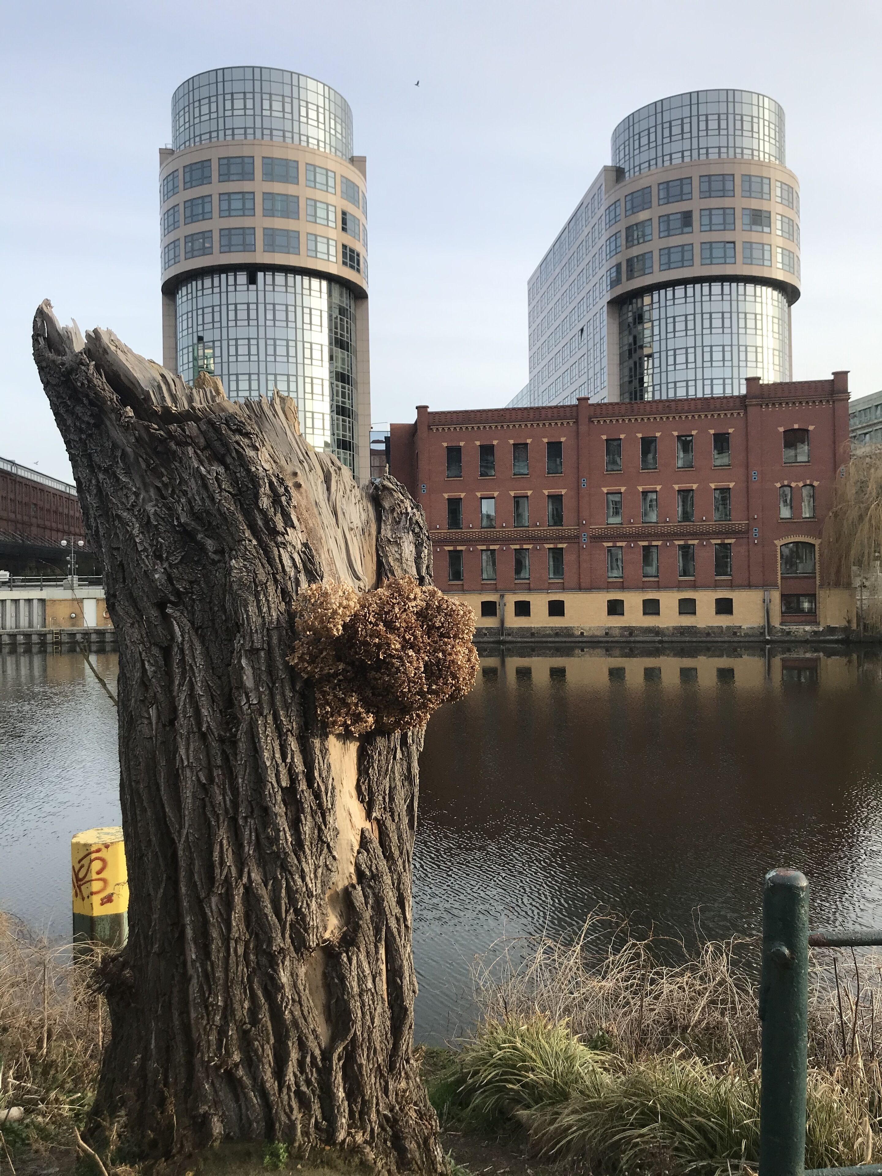Ein Baumstumpf mit moosbewachsenem Oberteil, ruhiges Gewässer und ein rot backsteins Gebäude mit mehreren Fenstern im Hintergrund.