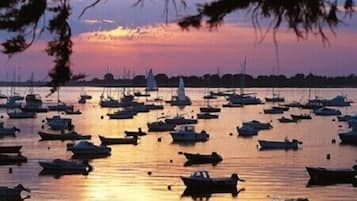 Jachthaven