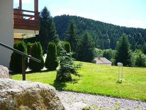 Property grounds - Charming apartment in chalet, close to ski slopes and town center    (Gérardmer)