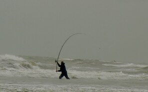 Fitness facility - House, in a quiet area, 300 m from the beach and 50 m from the center (Wijk aan Zee)