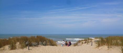 Vlak bij het strand, ligstoelen