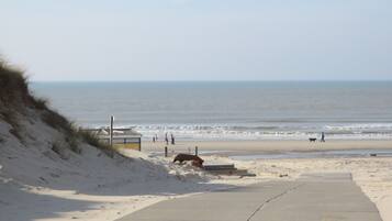 Plage à proximité, chaises longues