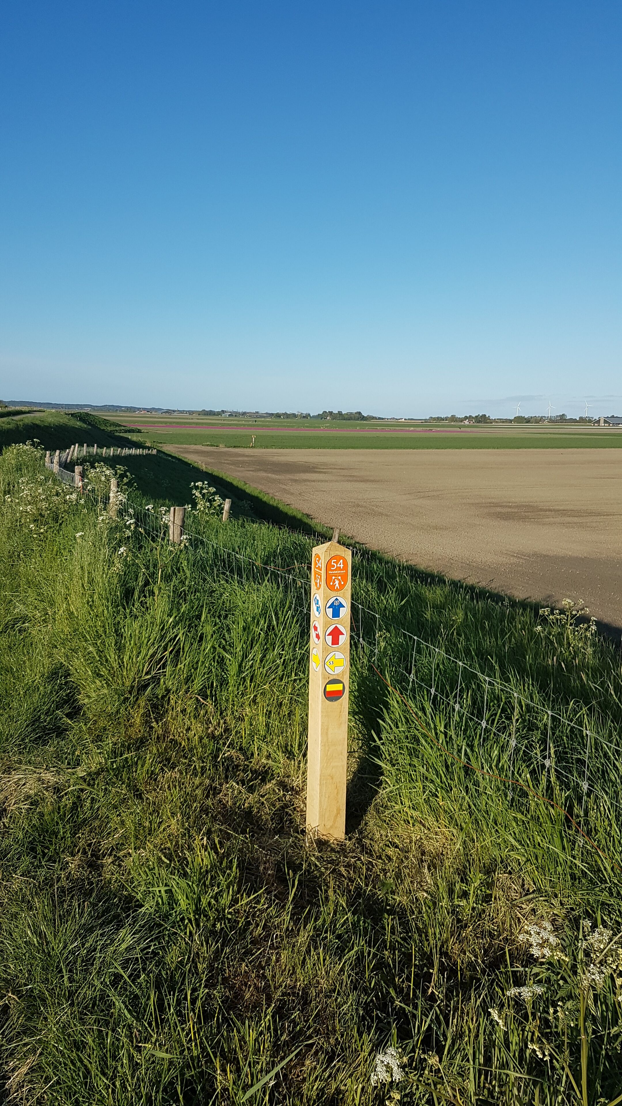 Un panneau indicateur en bois, orné de symboles indiquant les directions et portant le numéro 54, est planté dans un champ d’herbe.