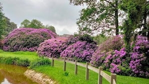 A garden with a water feature and a wooden fence.