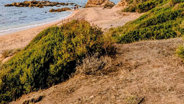 Paesaggio costiero con affioramenti rocciosi, una spiaggia sabbiosa e un cielo sereno.