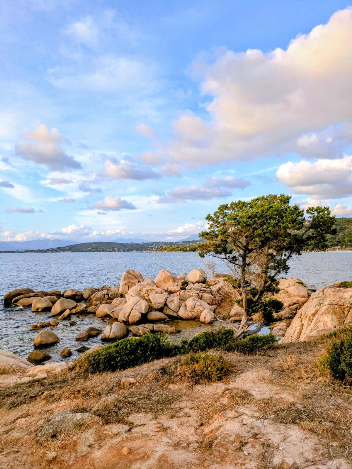 A rocky shoreline with a tree, calm water, and distant hills.