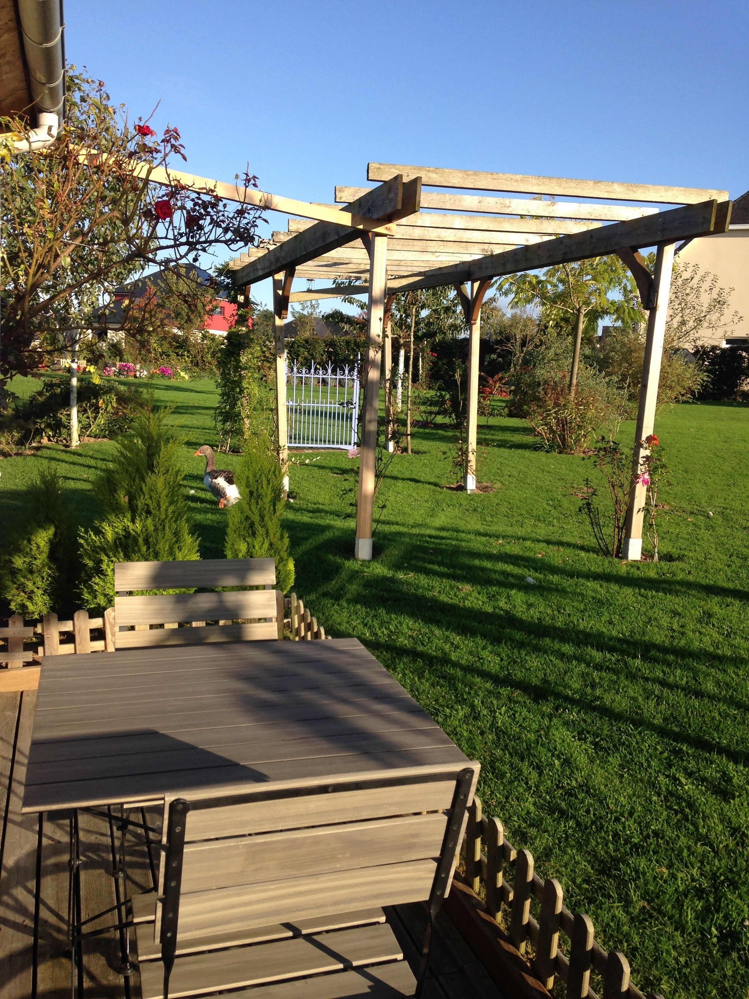 A wooden pergola with a metal gate, surrounded by a well-maintained lawn and various plants.