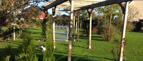 Una pérgola de madera con una reja metálica, rodeada de un césped cuidado y diversas plantas.
