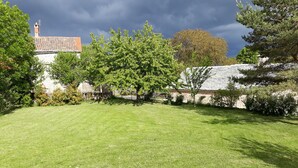 A well-maintained grassy lawn with a stone wall and trees in a garden setting.