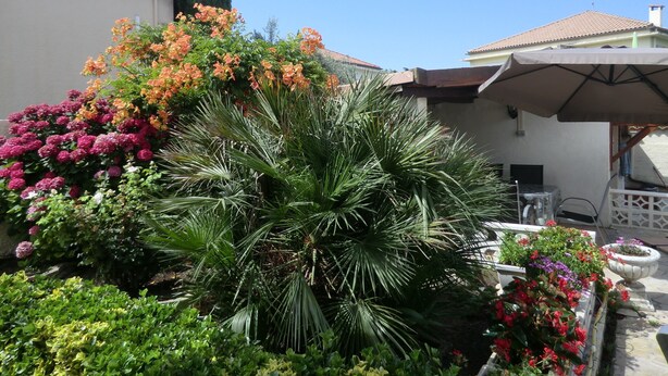 Un jardin avec différentes plantes et fleurs, un espace patio avec une table et des chaises, et un bâtiment avec un toit en tuiles.