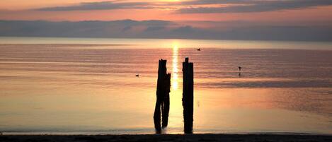 Vlak bij het strand, ligstoelen aan het strand