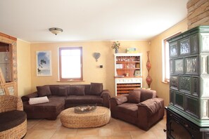 TV connectée, cheminée, lecteur de DVD, livres