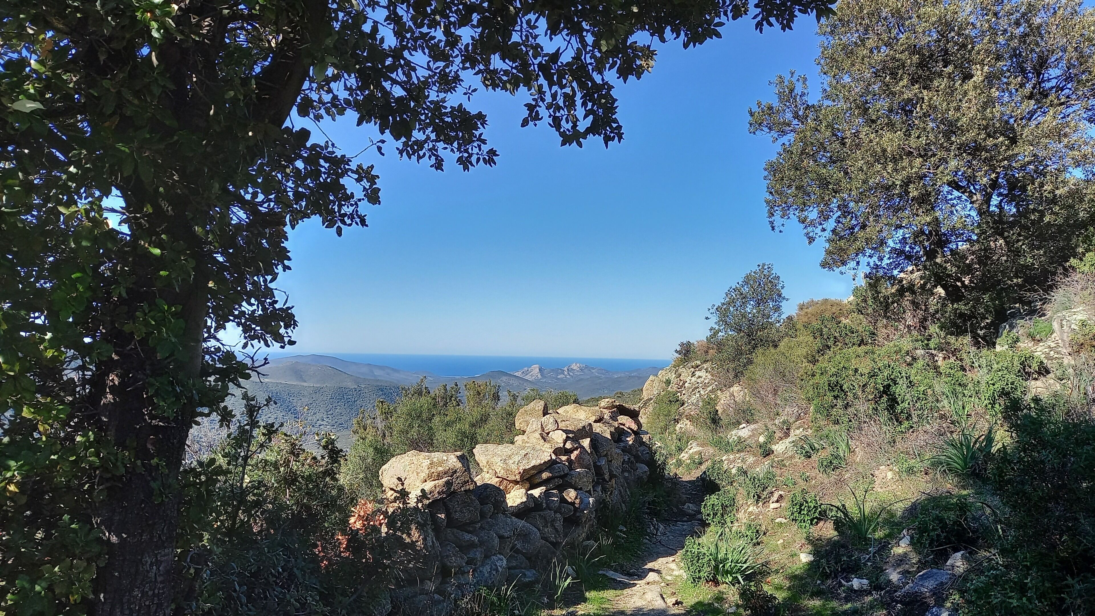 A natural landscape with rocky terrain and dense foliage.